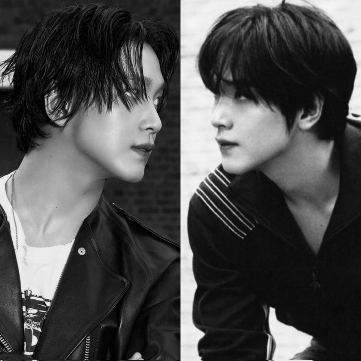 mogumogu tweet media