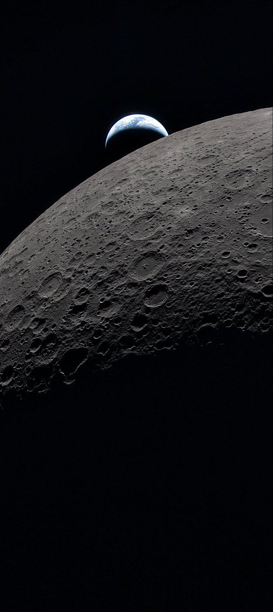 Mark Robey tweet media