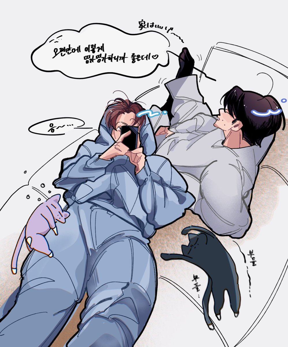 웡낫 🐈‍⬛🐈🛋 