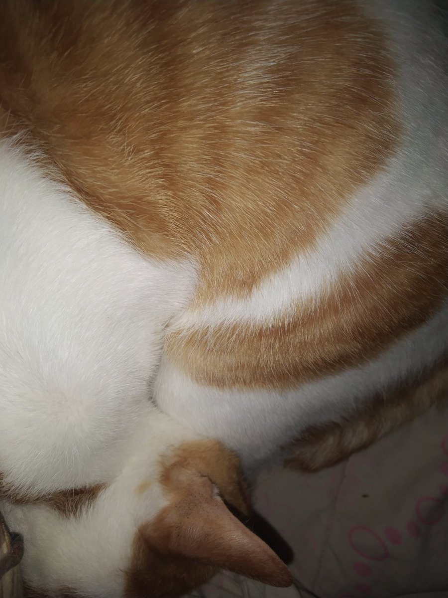 yb is yubo tweet media