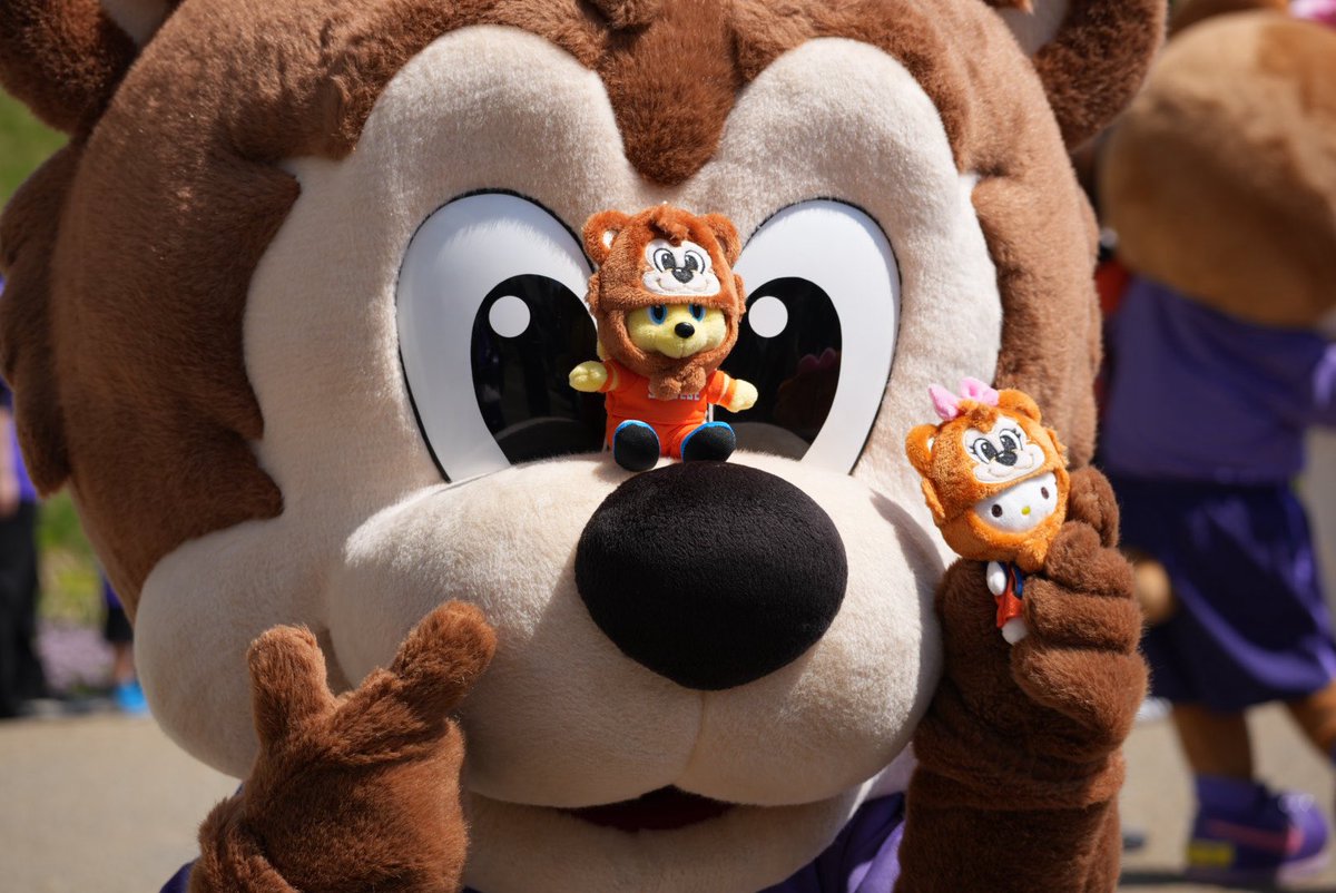 🐻くまさん🐻 tweet media