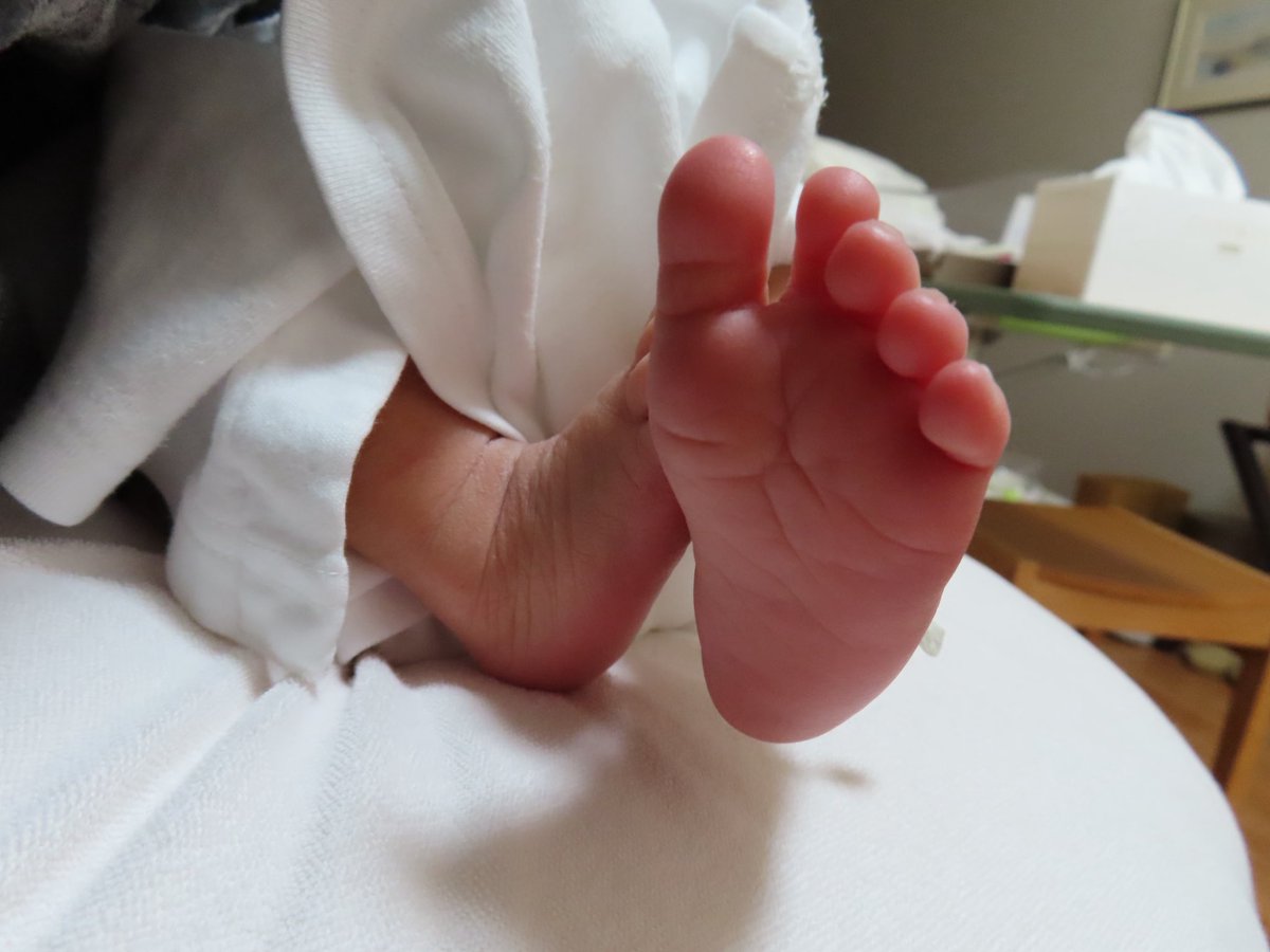 きょろ tweet media