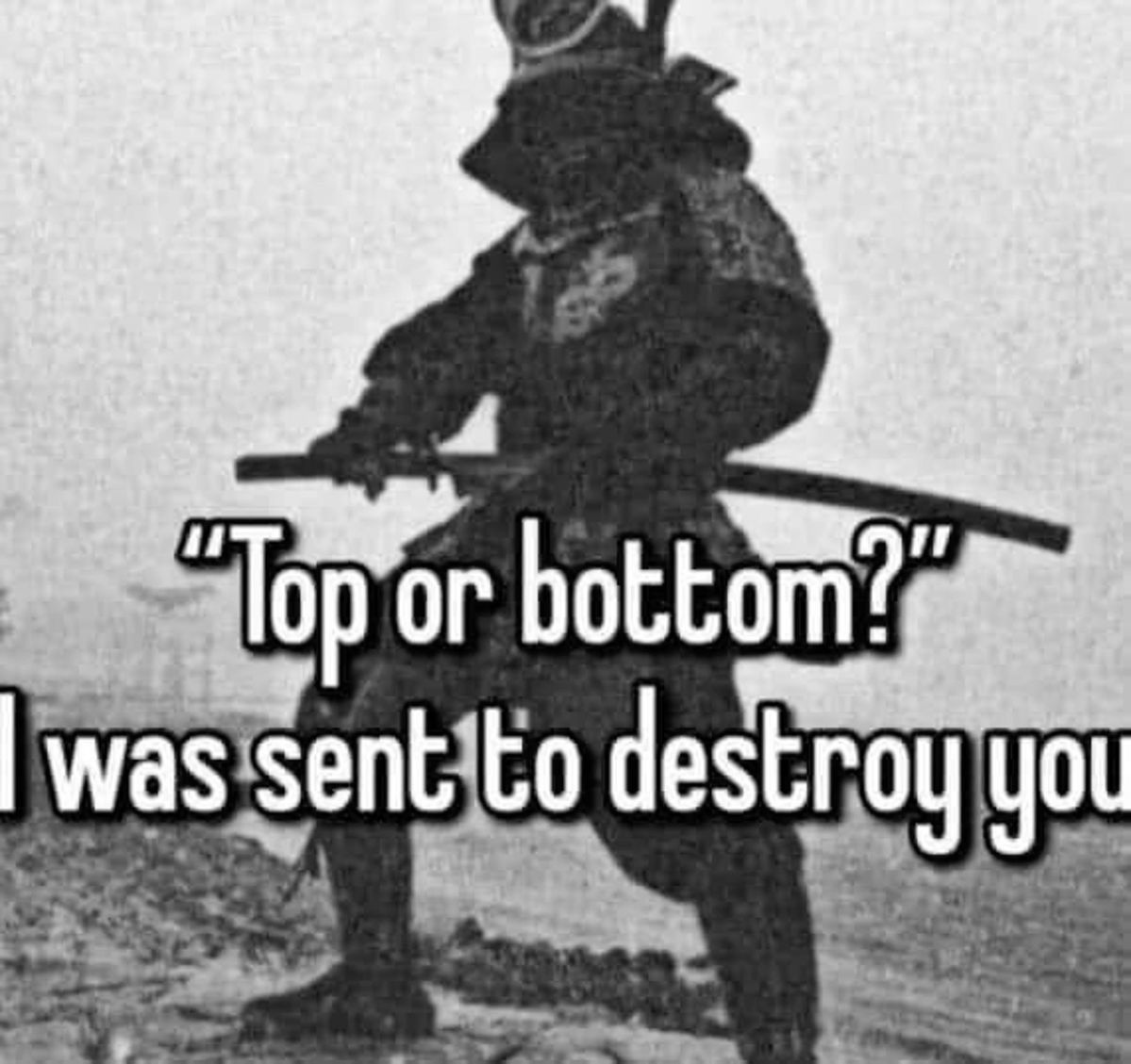 horse dentist tweet media