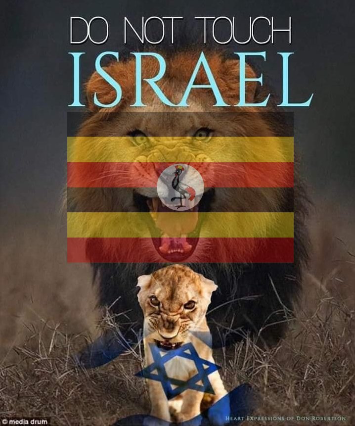 NotOkay™️ 🏆🏆🏆 tweet media