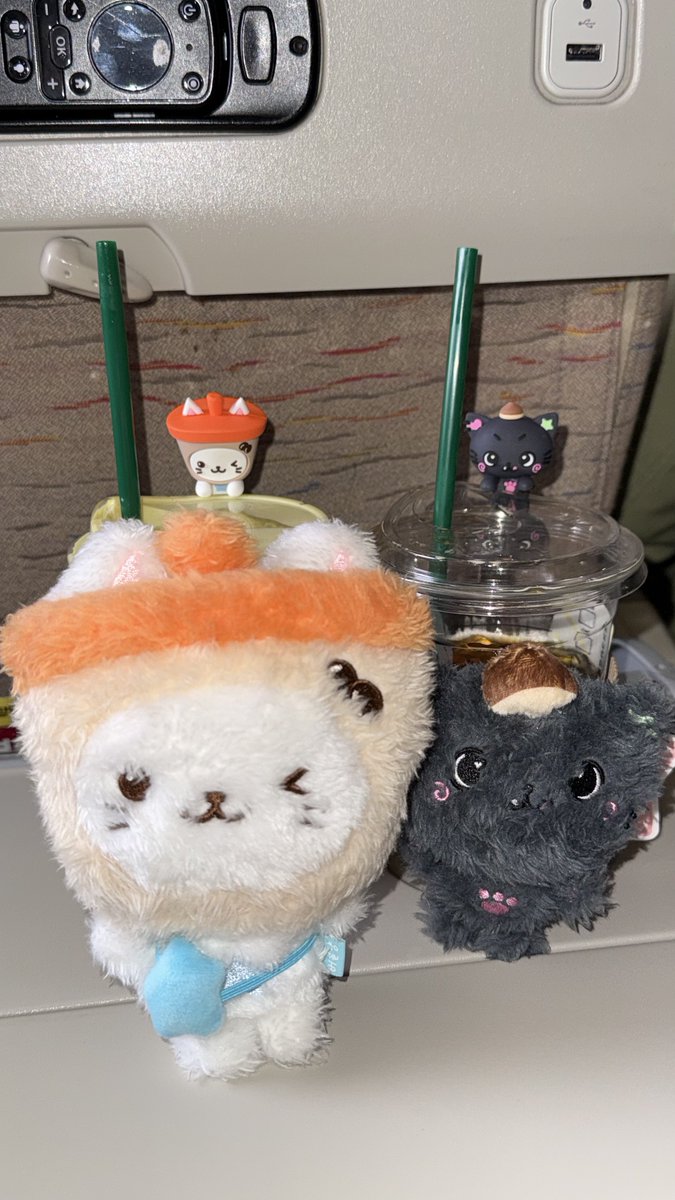 ᧔࿔᧓ tweet media