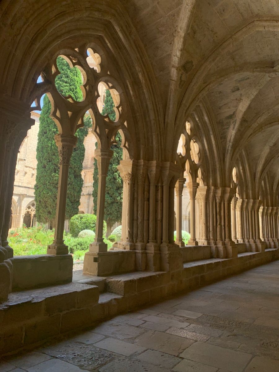 Javi Marenas tweet media