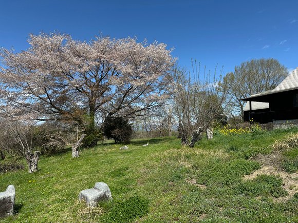 いわむらかずお絵本の丘美術館 tweet media