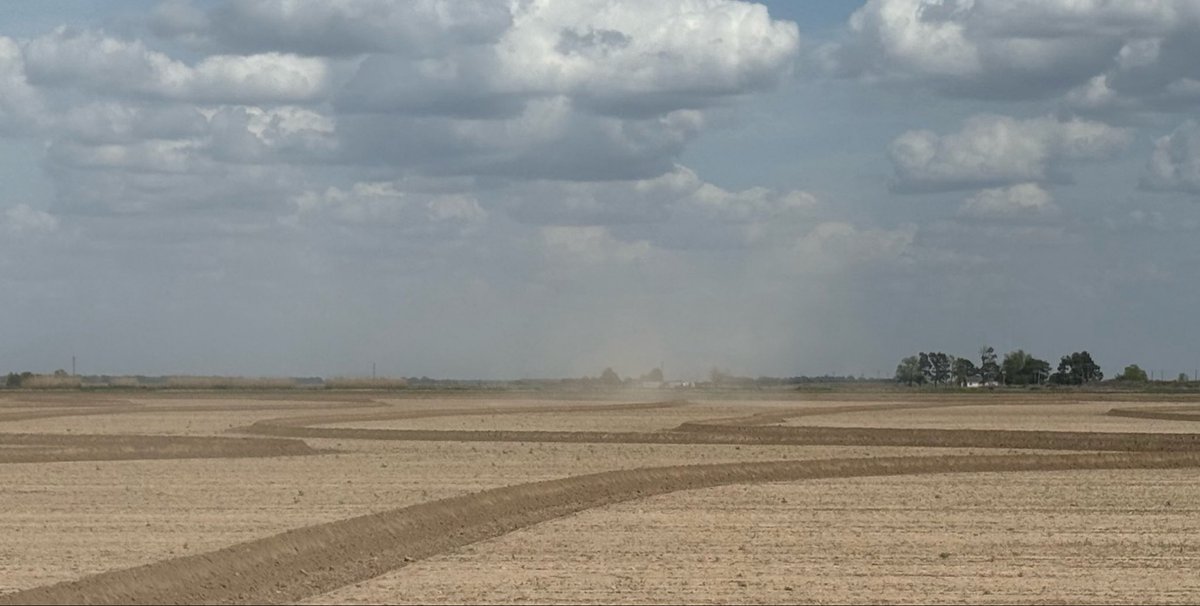 Jarrod Hardke tweet media