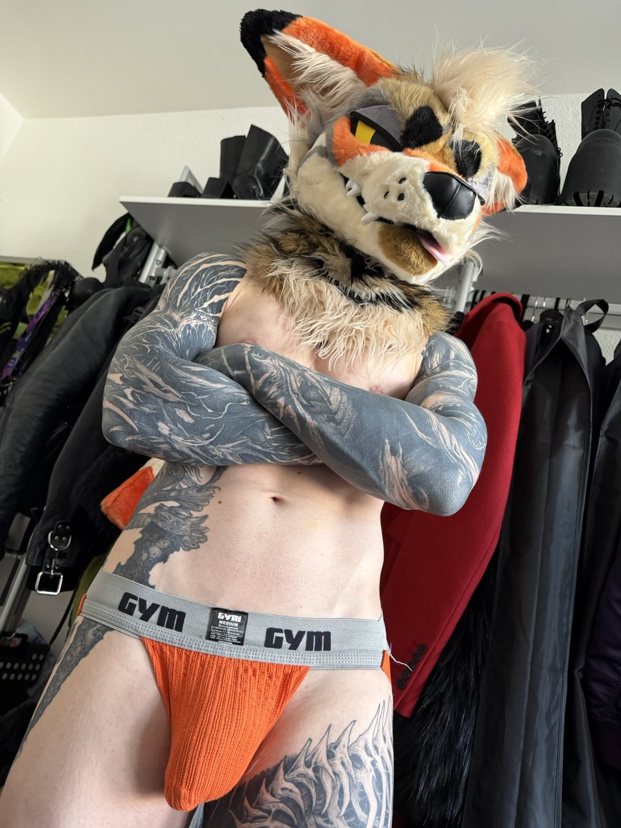 Lake Coyote tweet media