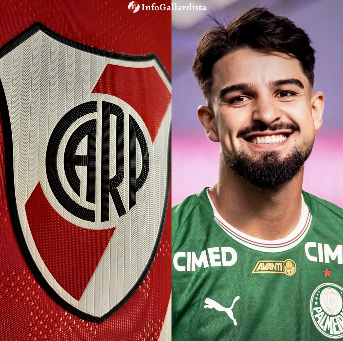 Info Gallardista tweet media