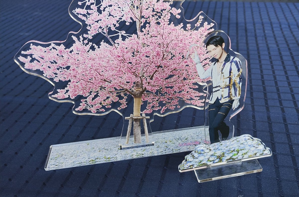 ただいま仙台 七北田公園 ゆづ桜アクスタ買えたよ😭 ゆづ桜はだいぶ
