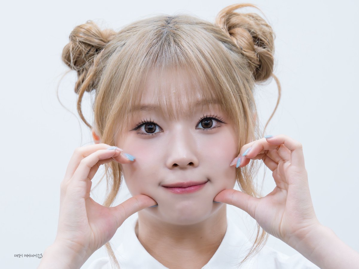 매일이 메이데이 tweet media