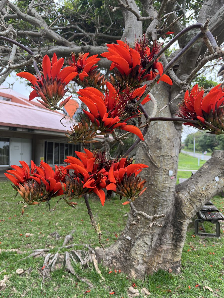 ORANGE RANGE HIROKI tweet media