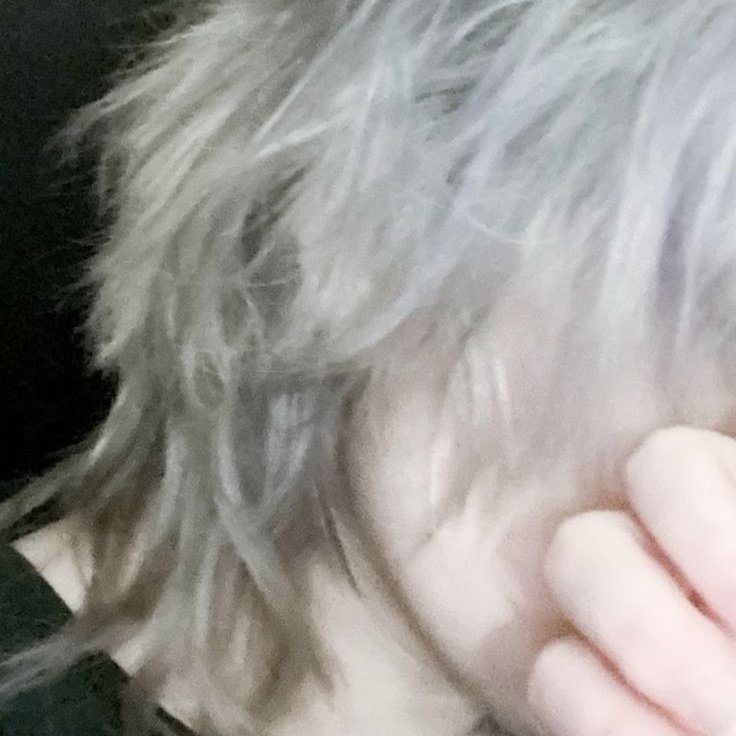 𝓝⋆ꫀׁׅܻᨵׁׅꪀׁׅ 🍴 — info no fix 📌 tweet media