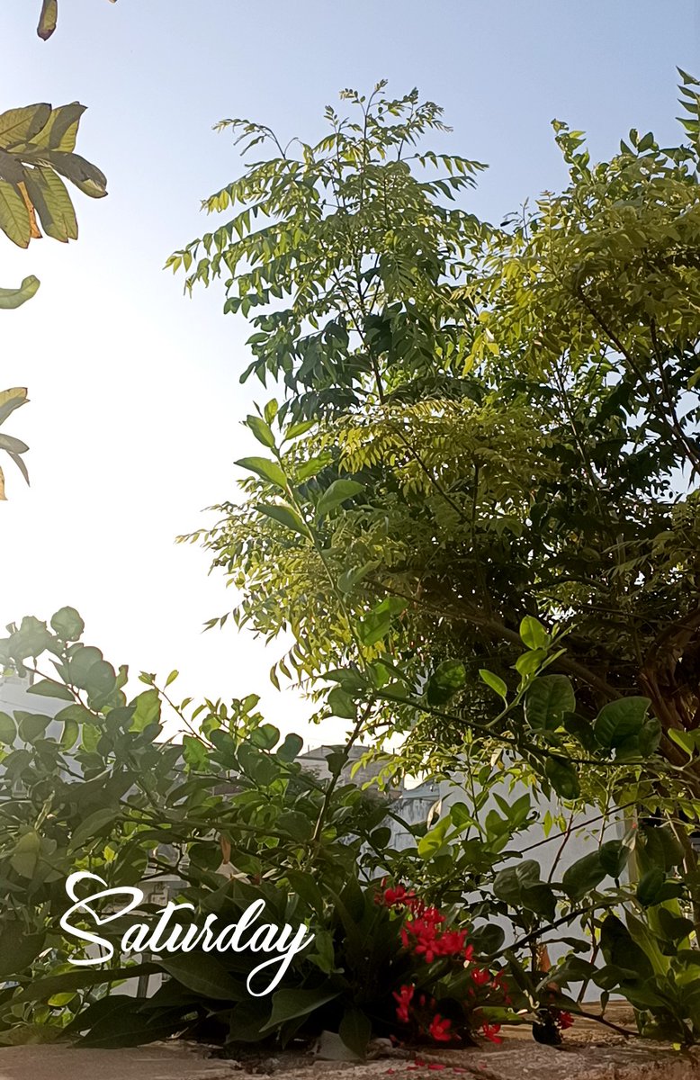 💞 MEERU 💞 tweet media