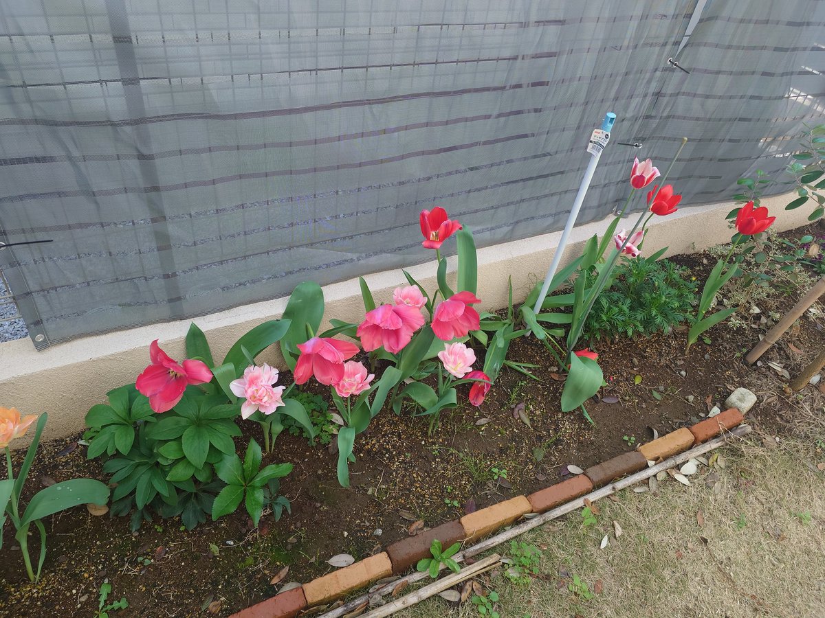 🦇🎃 📣< Y tweet media