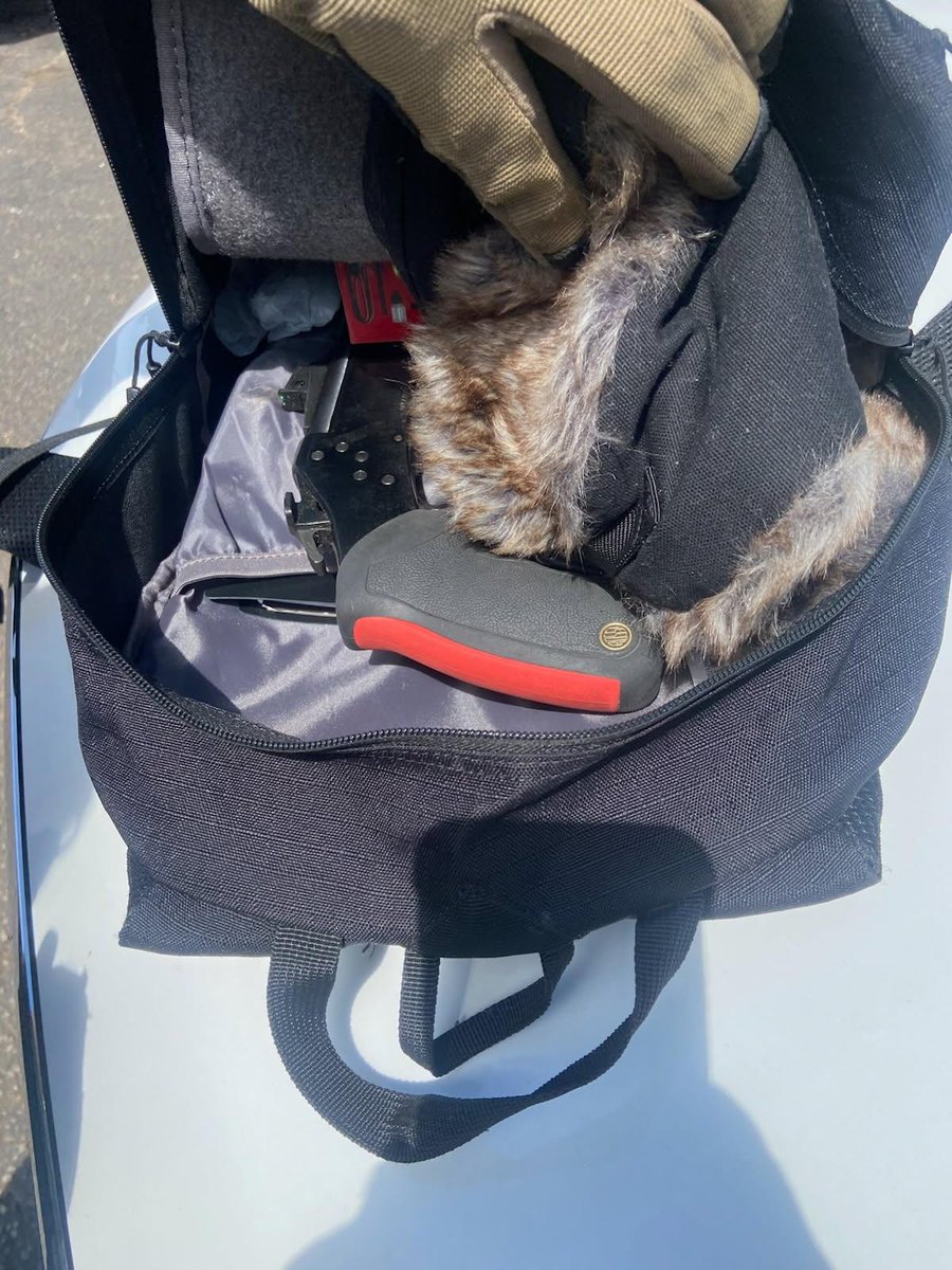 NSP Dog Division tweet media