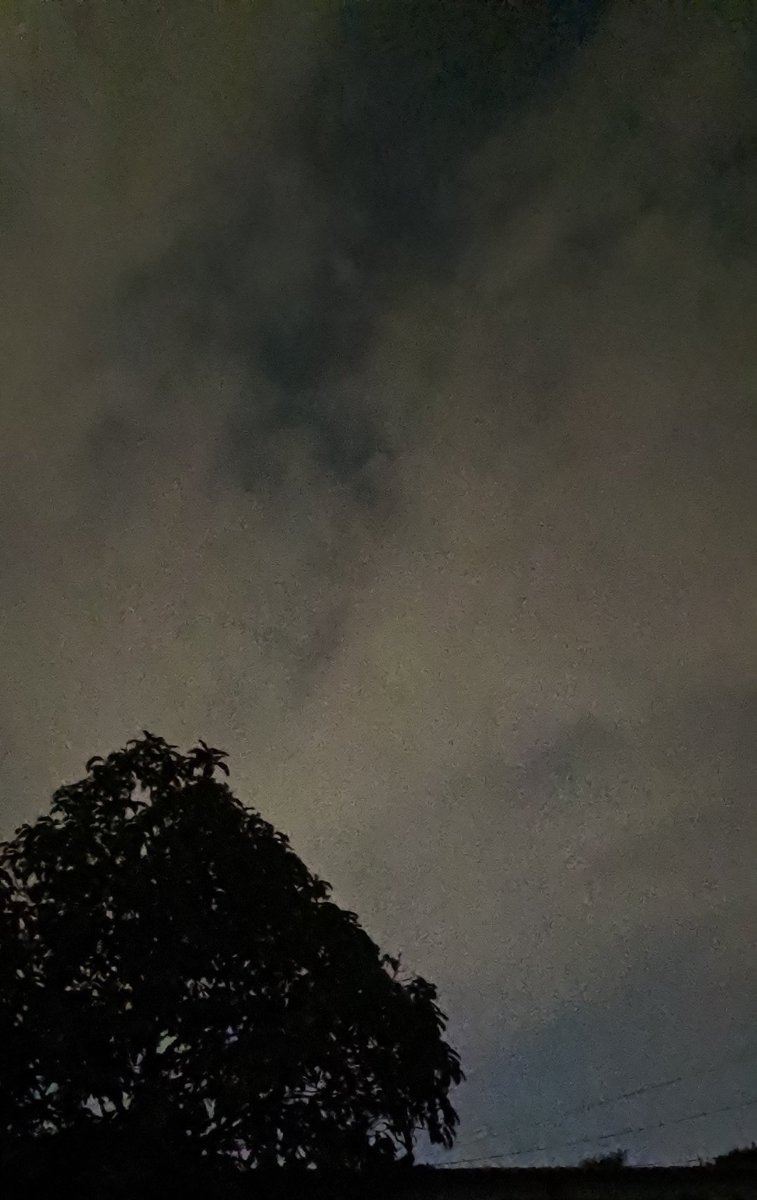 Dя. Nεgяo Mαиguεяa tweet media