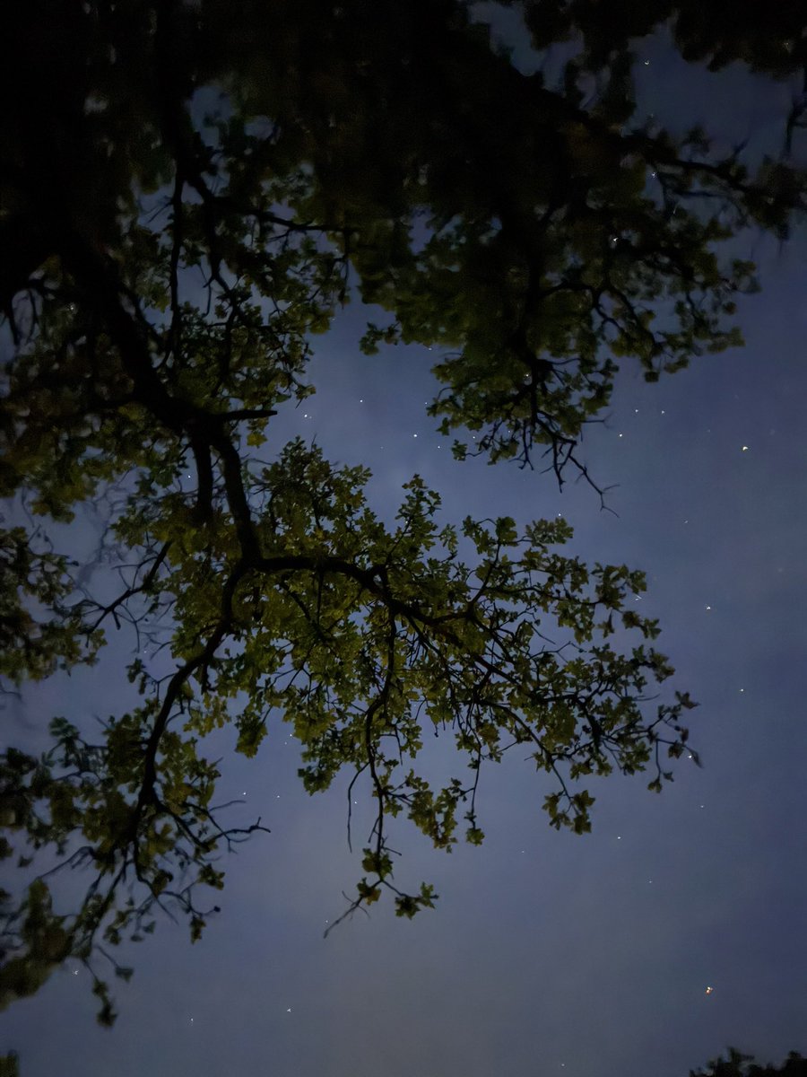 Lisa Starr tweet media