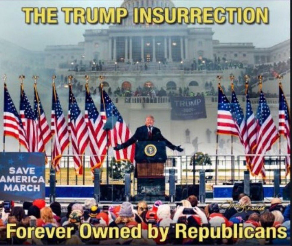 salty seadude 🇺🇸Defend Democracy & Environment tweet media