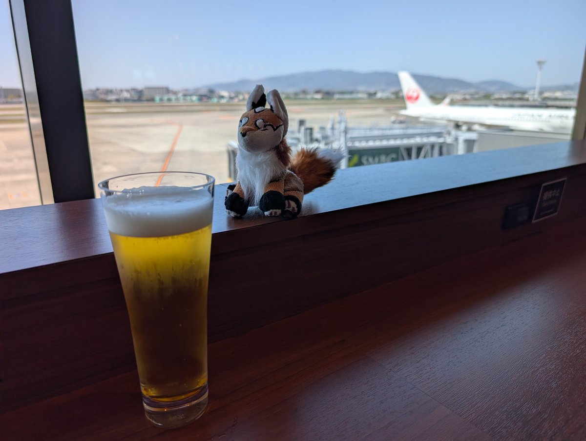 🦊チルド🔭 tweet media