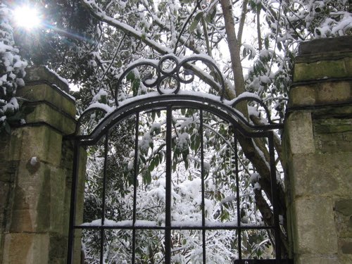 ⋆.·★ ℱₗₒᵣₐ ★·.⋆ tweet media