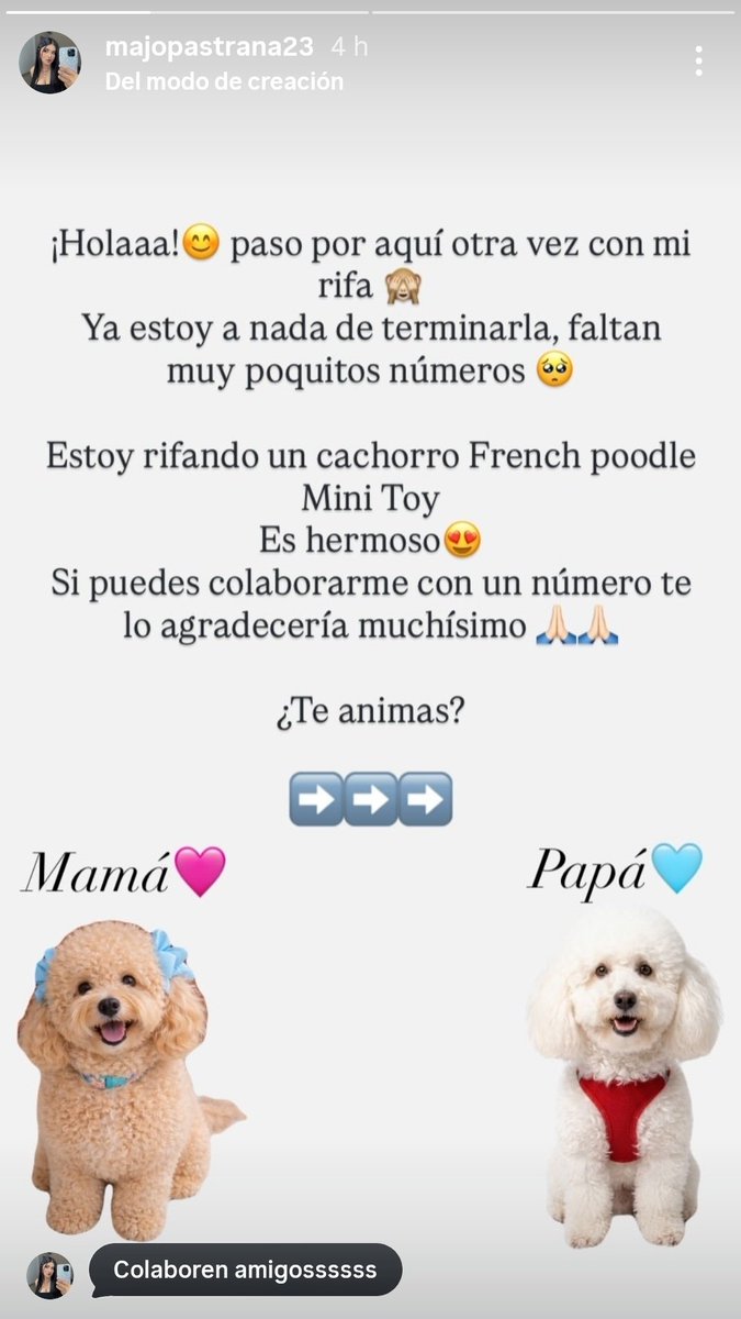 #UnTinticoParaDos tweet media