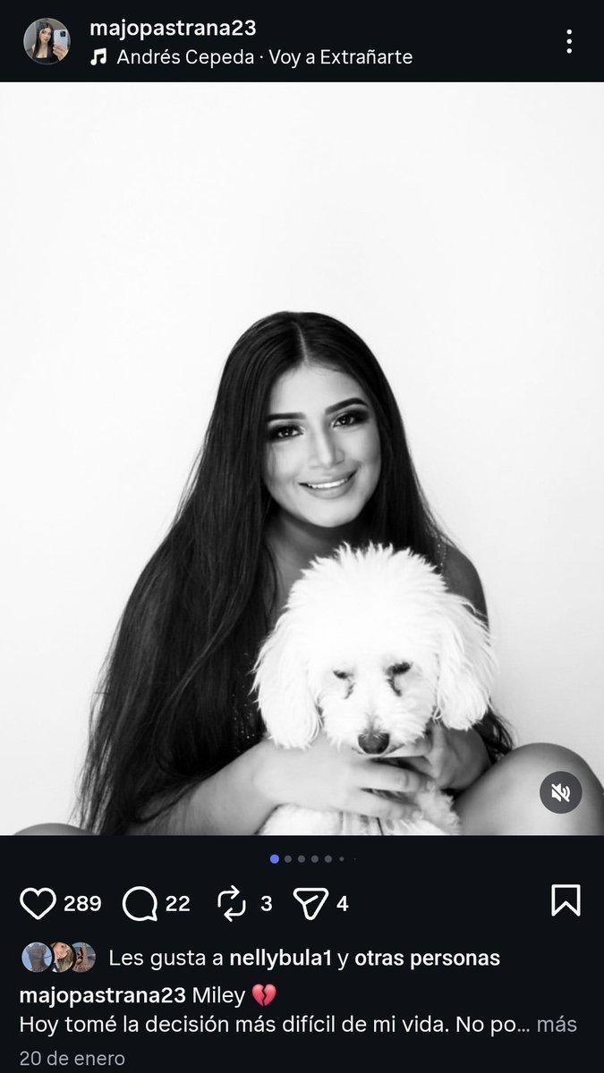 #UnTinticoParaDos tweet media