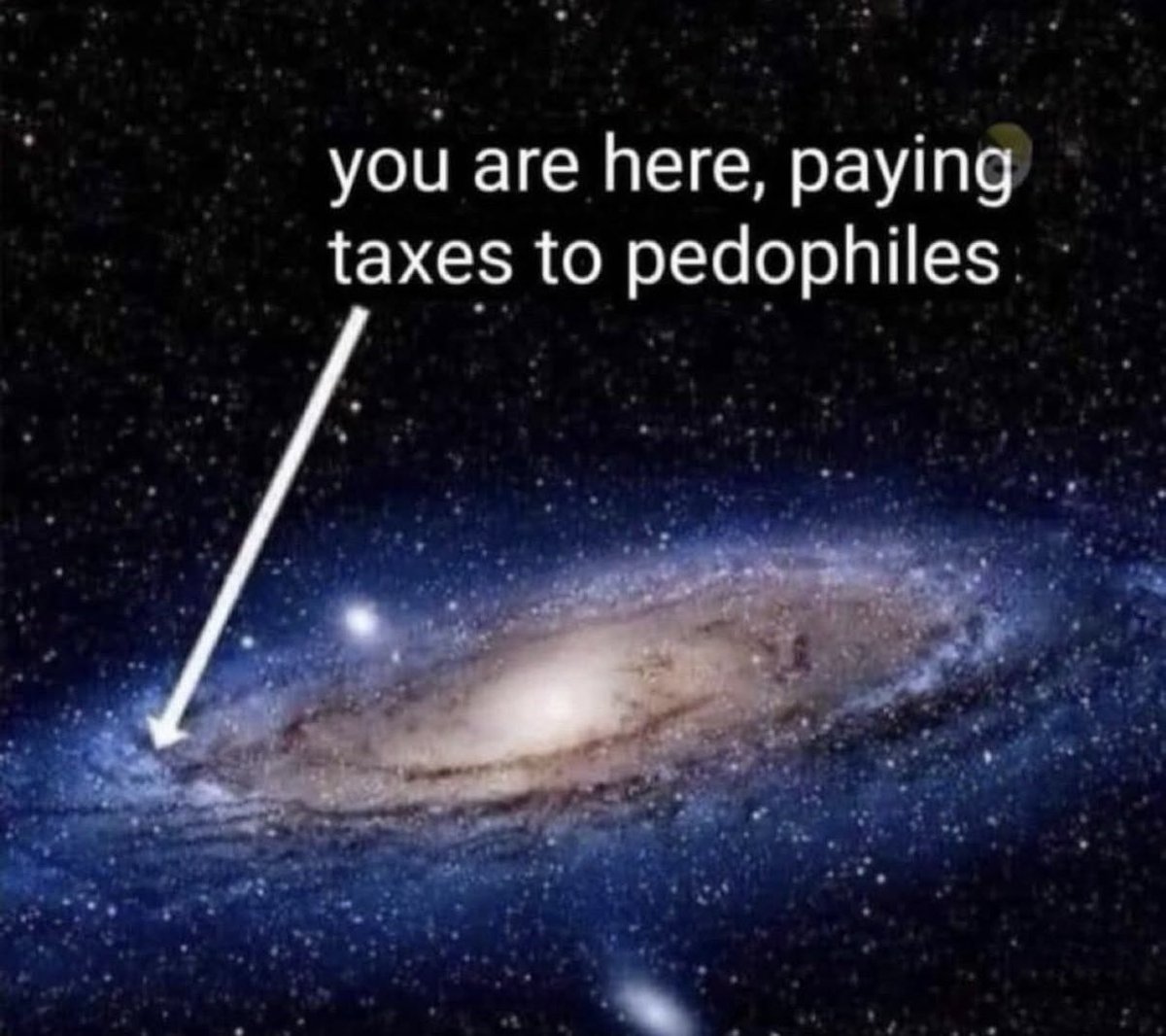 Tiffany Fong tweet media