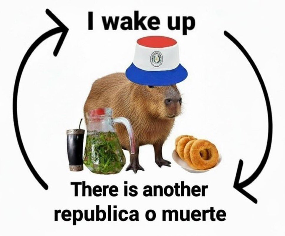 RAPHAEL The horse🇵🇾🇦🇷 tweet media