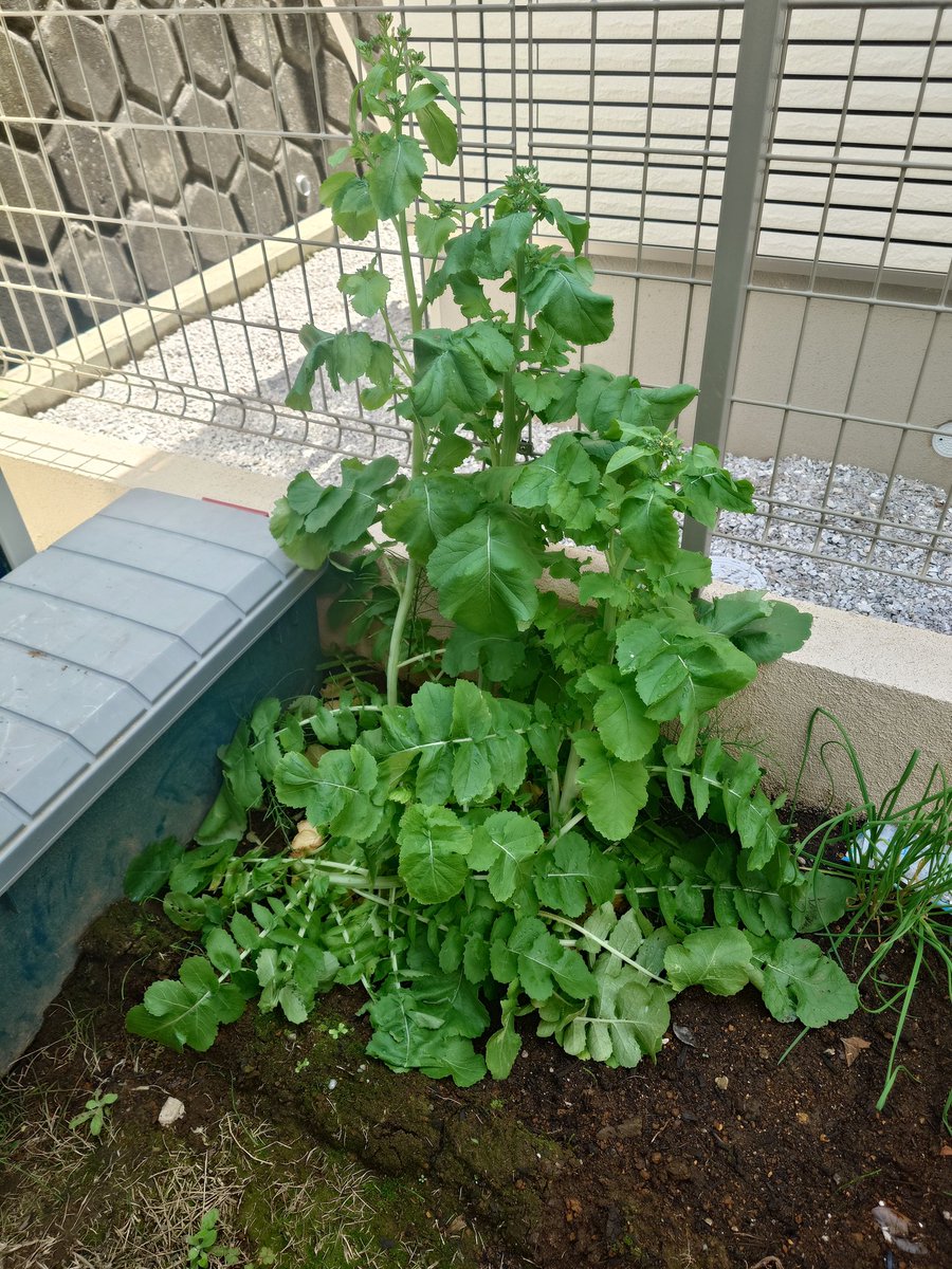 🦇🎃 📣< Y tweet media