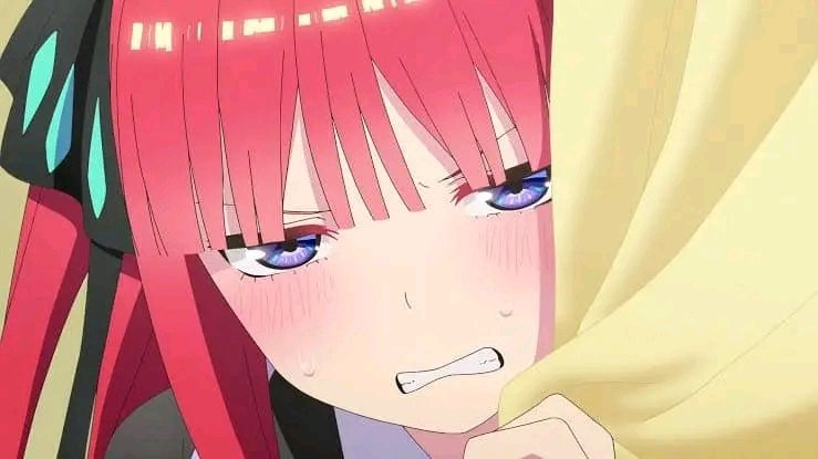 Arsh 🍉 tweet media