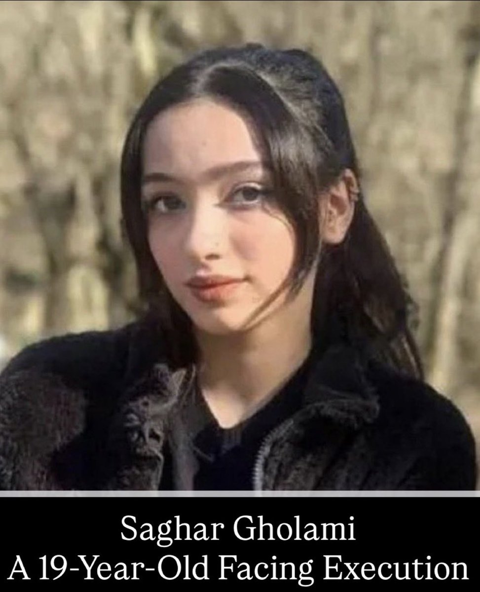 shabidesign tweet picture