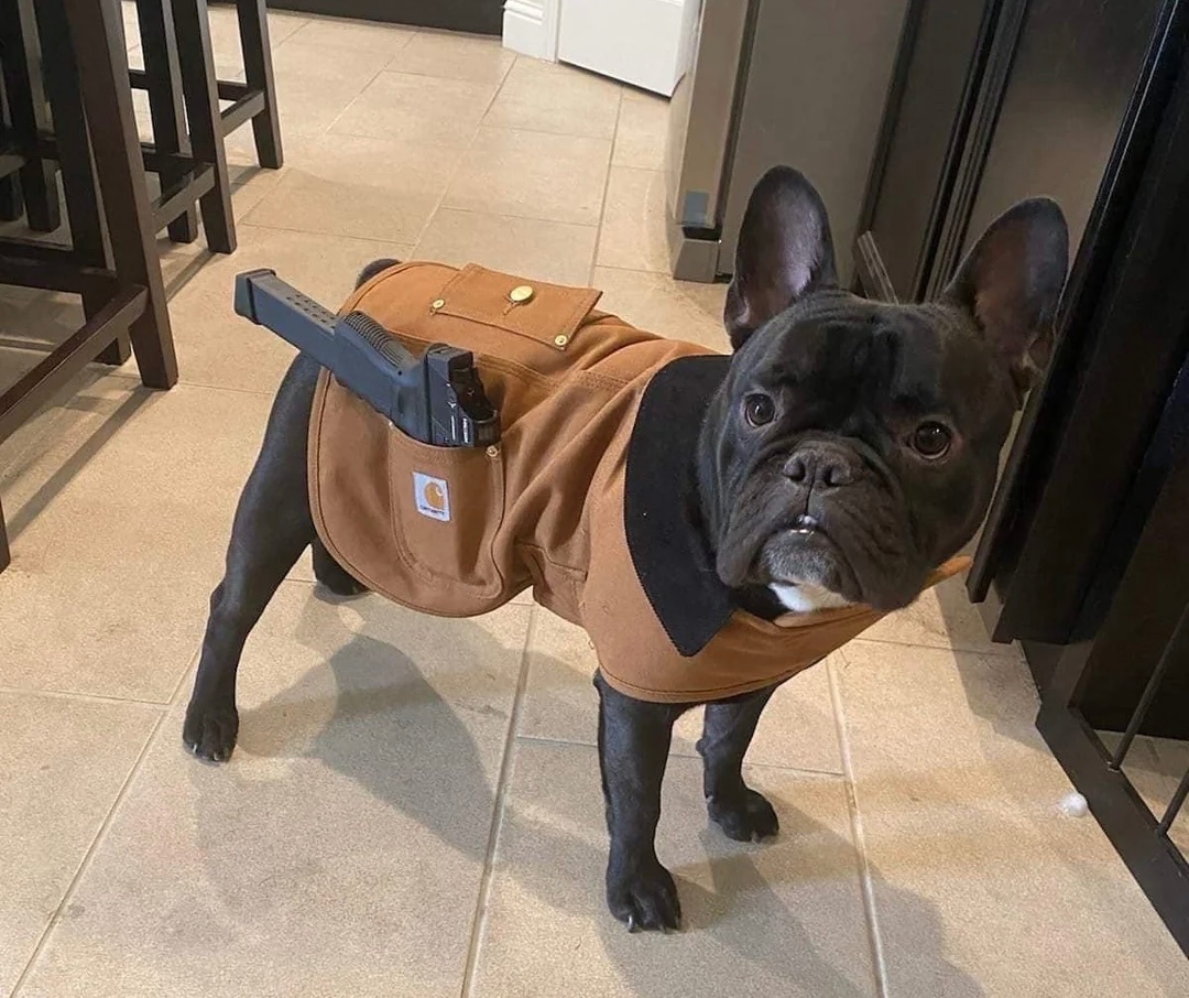 Doc Strangelove tweet media