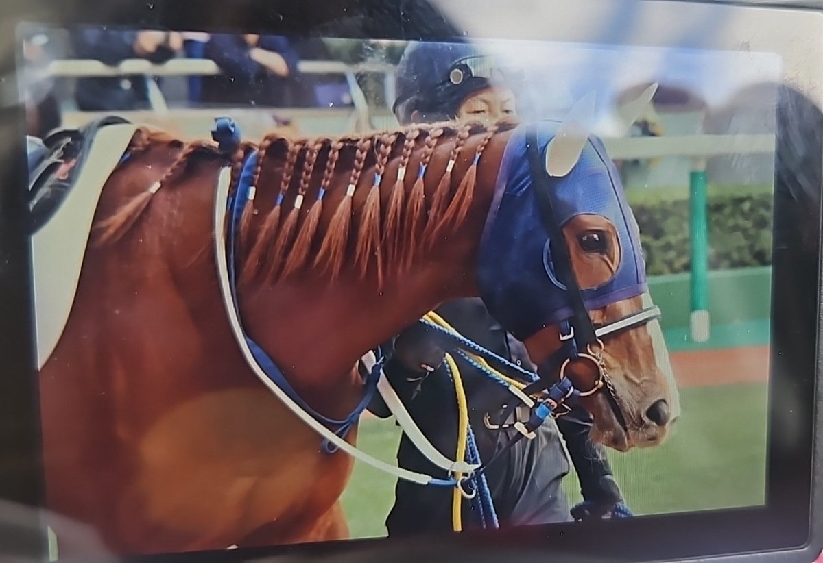 かりん🐴うまあか tweet media