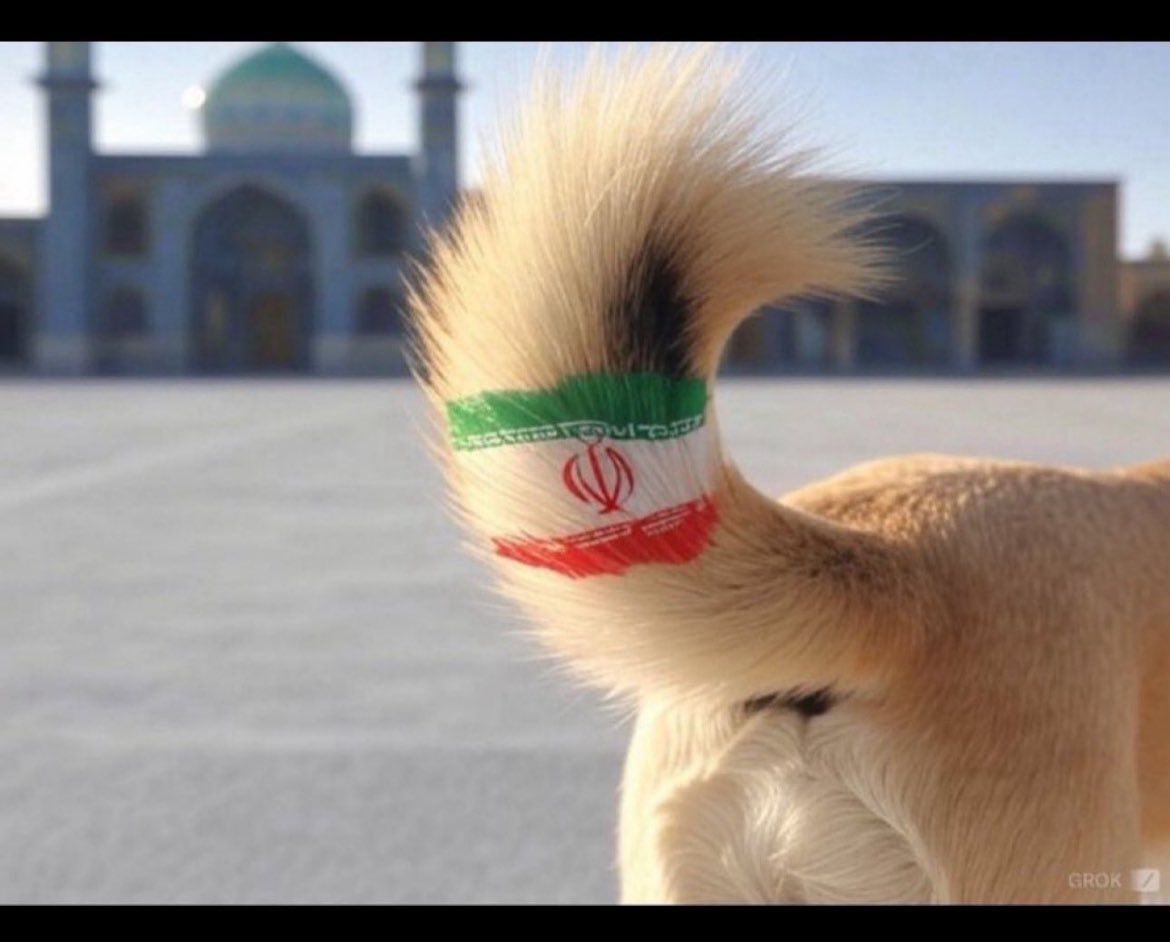 م.حسين الدوسري tweet media