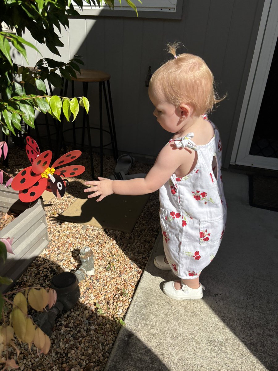 Boo 🌸 tweet media