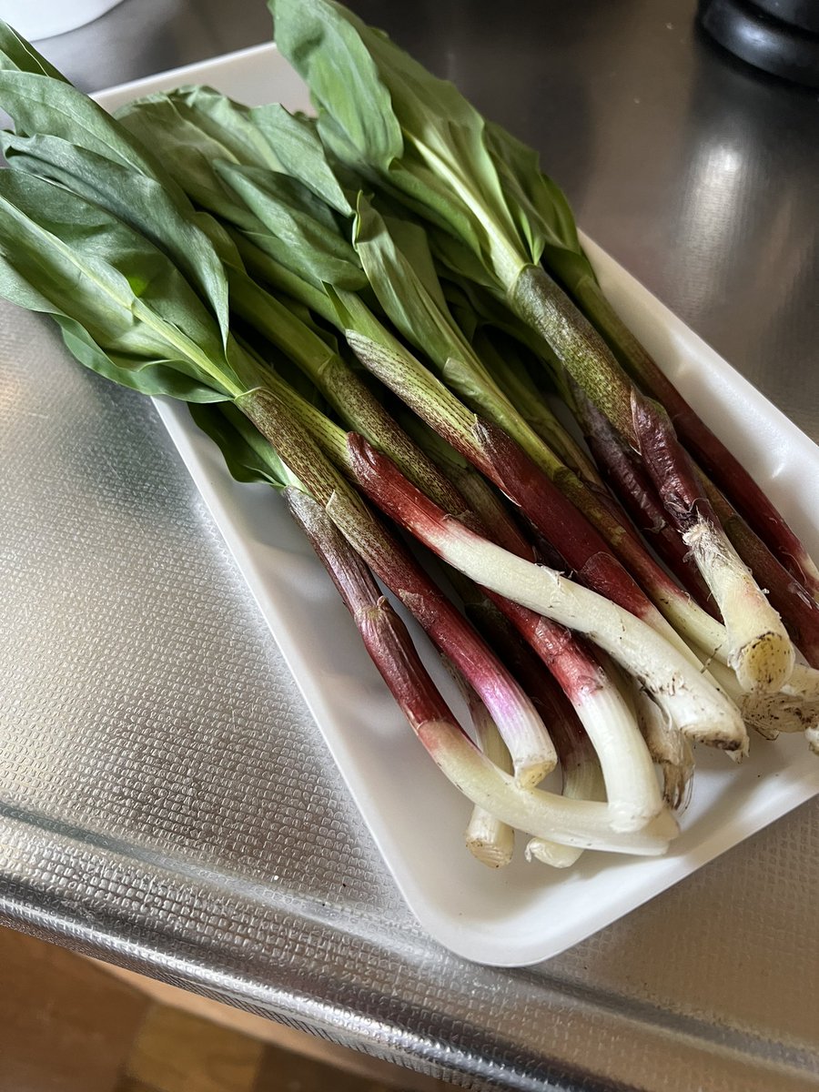 炬燵・こうた　(古）達・孝太 tweet media