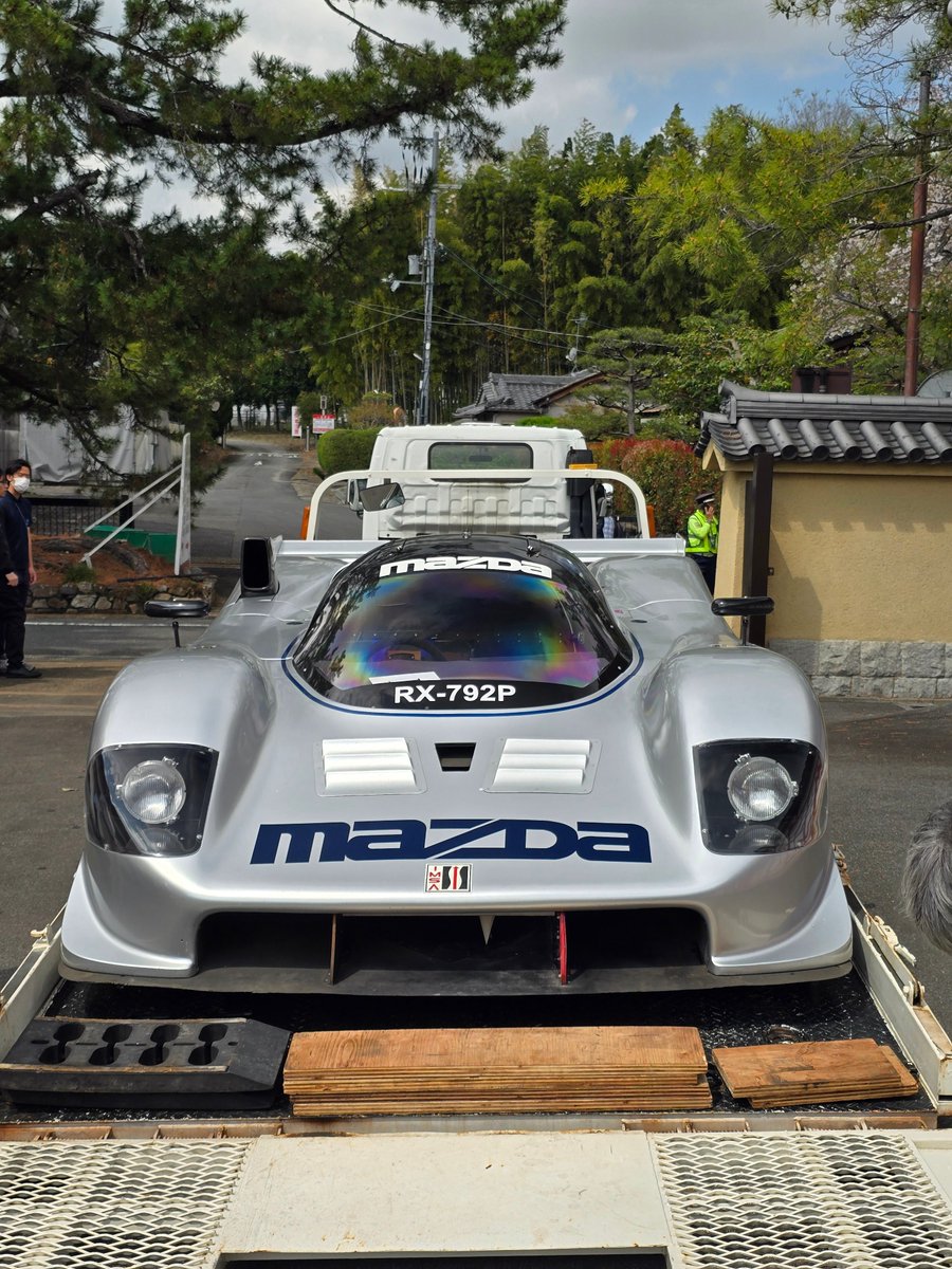 Angelfish tweet media