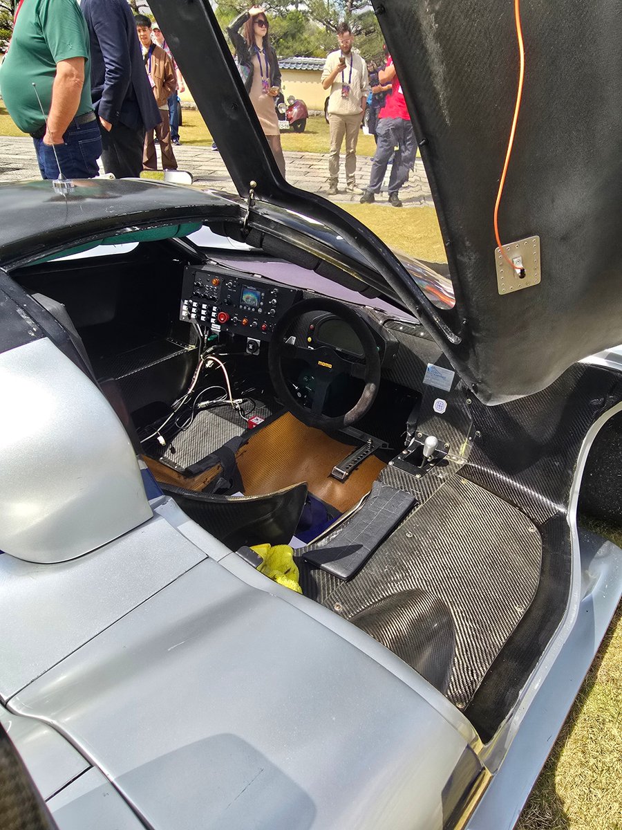 Angelfish tweet media