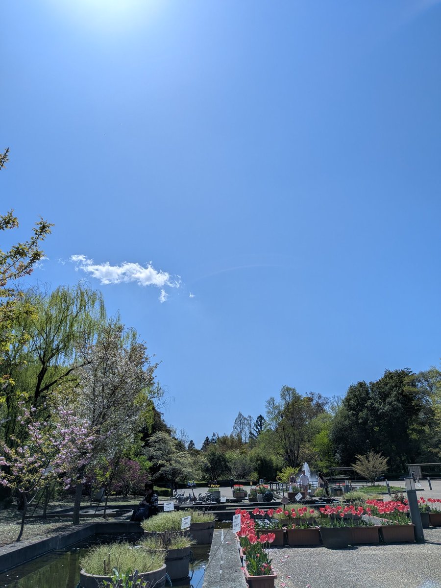 kensukevr6 tweet media