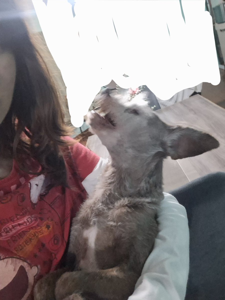 ᑲrᥱᥒᥴһі 📻🍎 ⁴ ⁷ tweet media