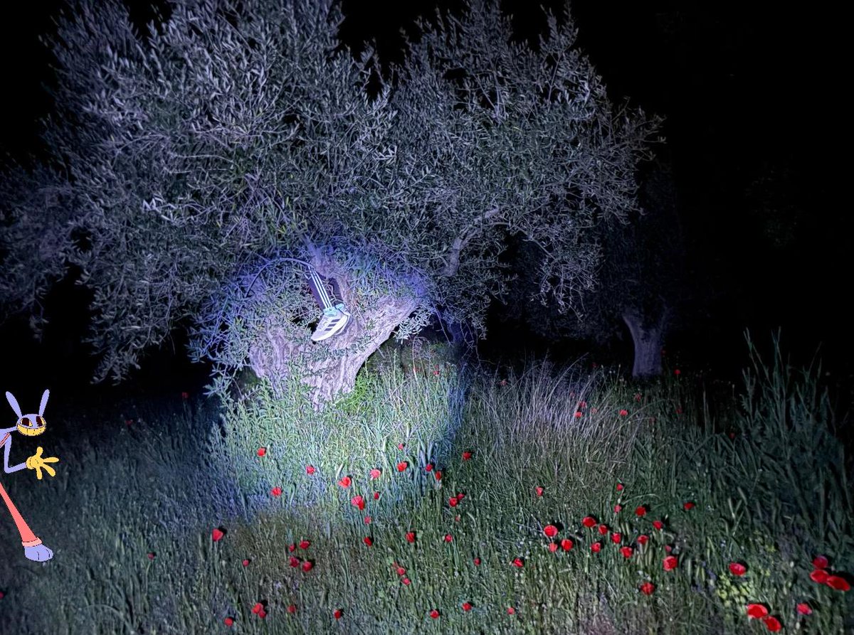 fuming frog tweet media