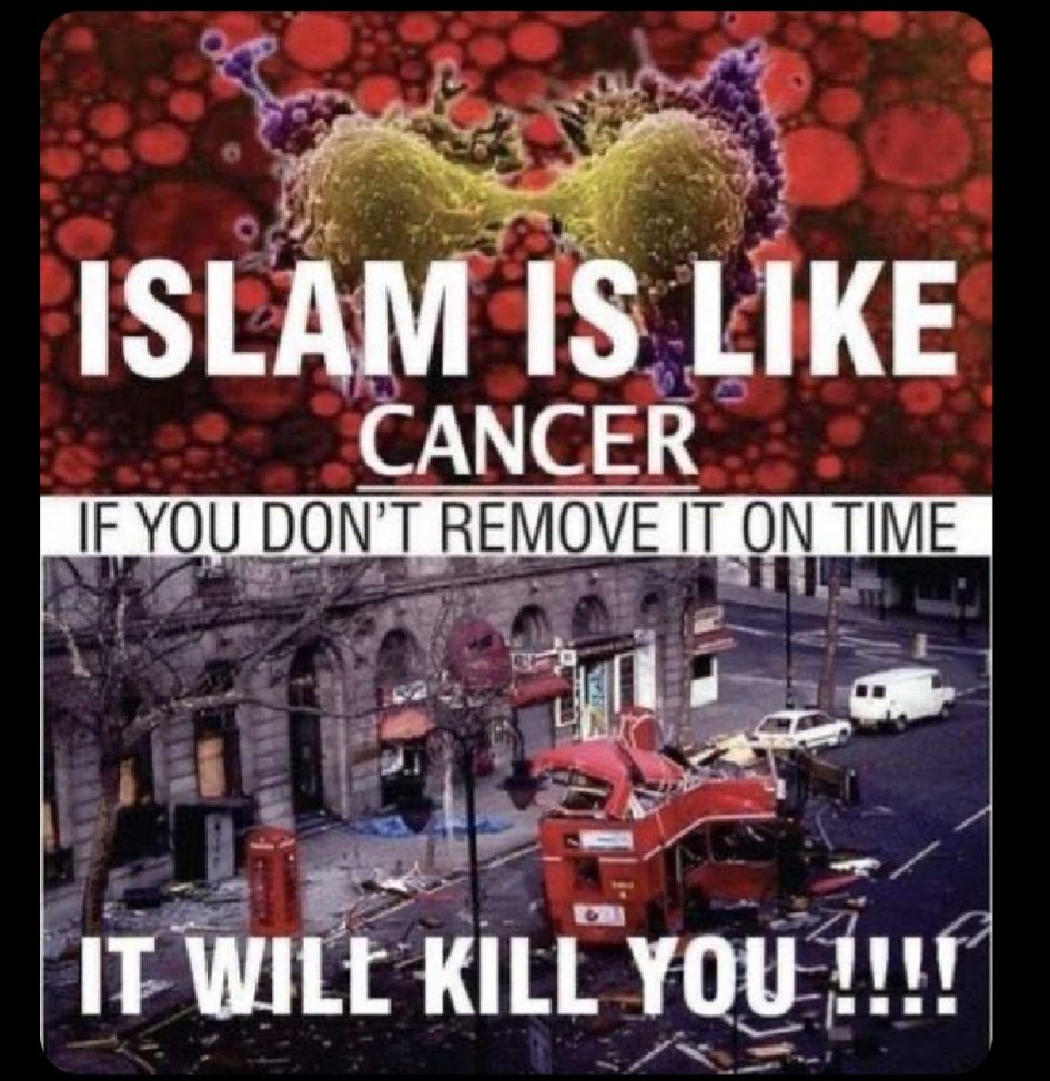 מגן ימני Gemini tweet media