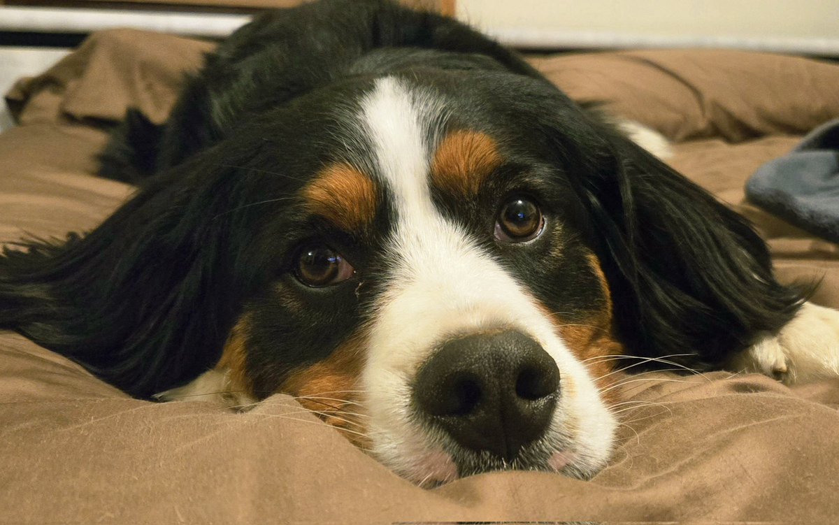 Sinder 🔥 tweet media