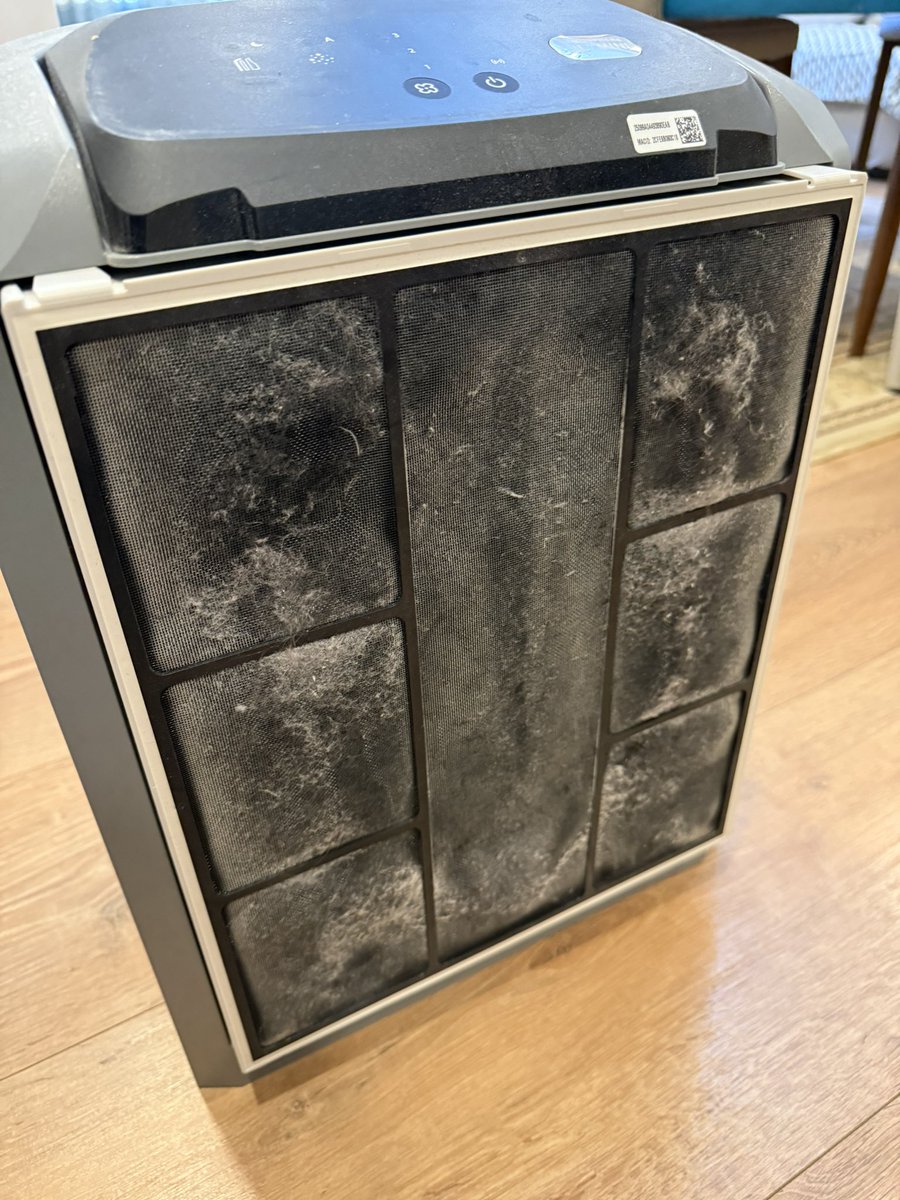 🦋NASKA🦋 tweet media