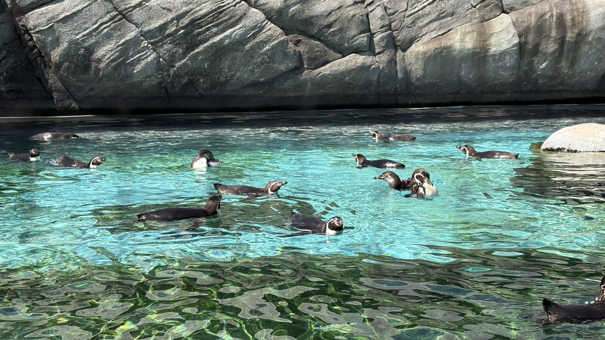 たくと(Pb tweet media