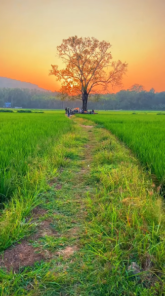 യാത്രാമധ്യേ ഒറ്റപ്പെട്ടവൻ. tweet media