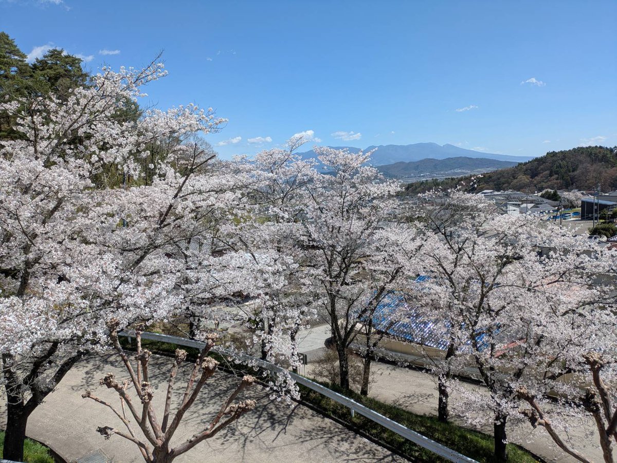 北向観音・常楽寺 tweet media
