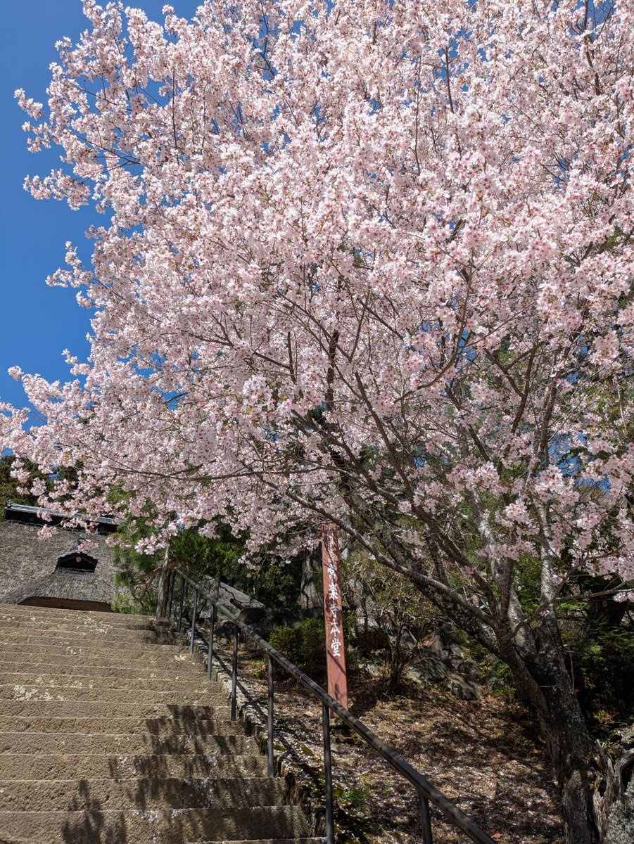 北向観音・常楽寺 tweet media